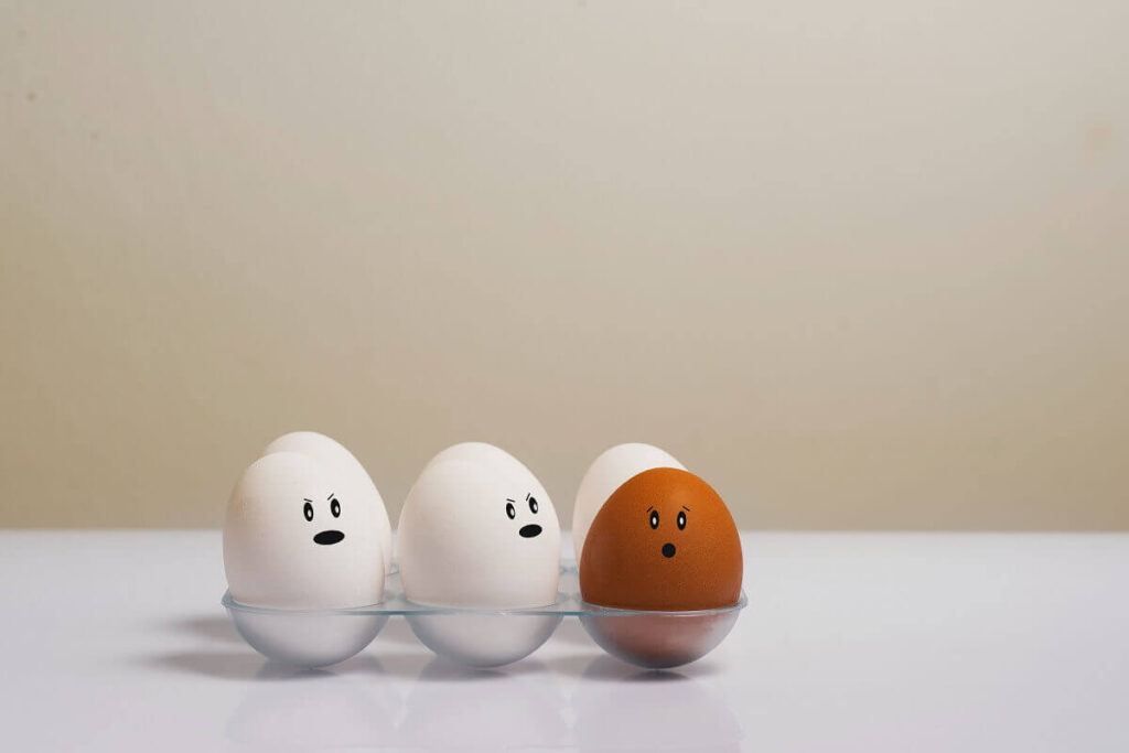 3 white eggs and 1 brown egg looking each other_discrimination_discriminacion